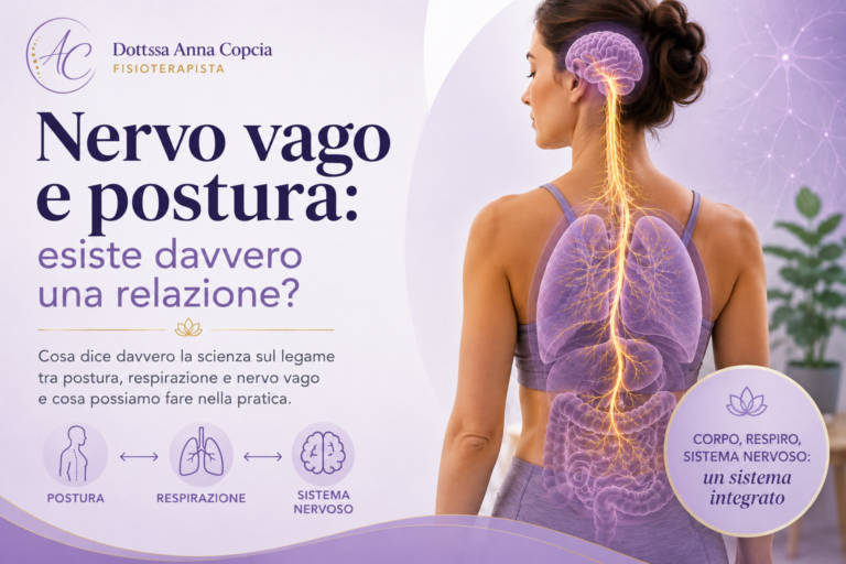 Nervo vago e postura: relazione tra postura, respirazione e sistema nervoso
